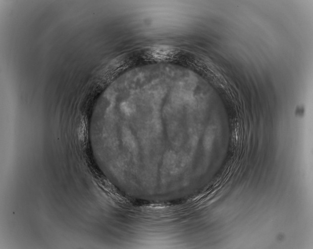 X0000097890651200804111019