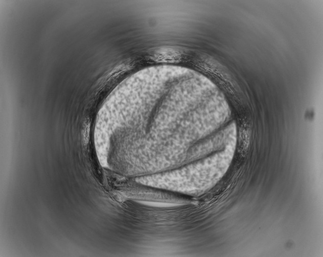 X0000097890652200804111019