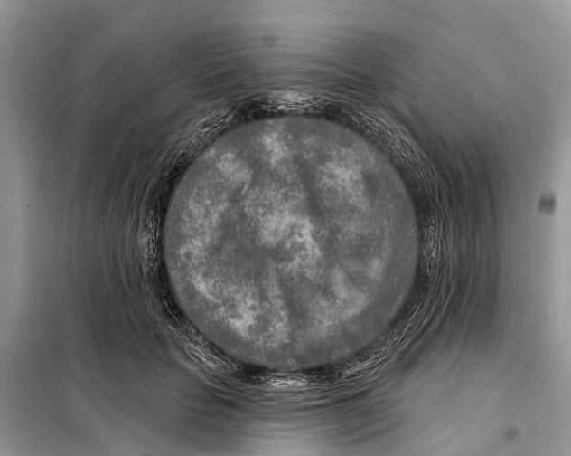 X0000097890653200804111019