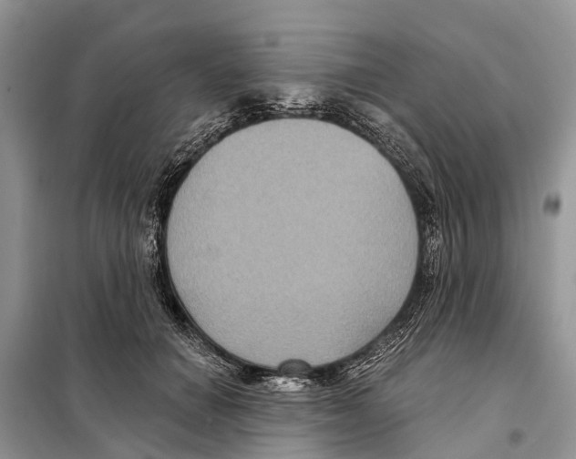 X0000097890654200804111019