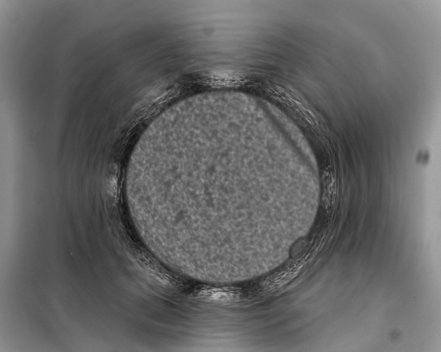 X0000097890655200804111019