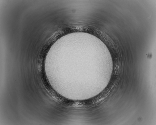 X0000097890656200804111019