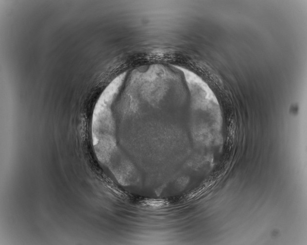 X0000097890659200804111019