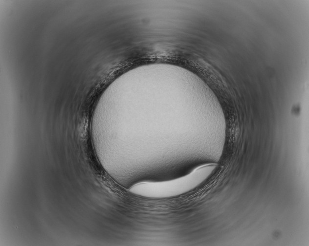 X0000097890660200804111019