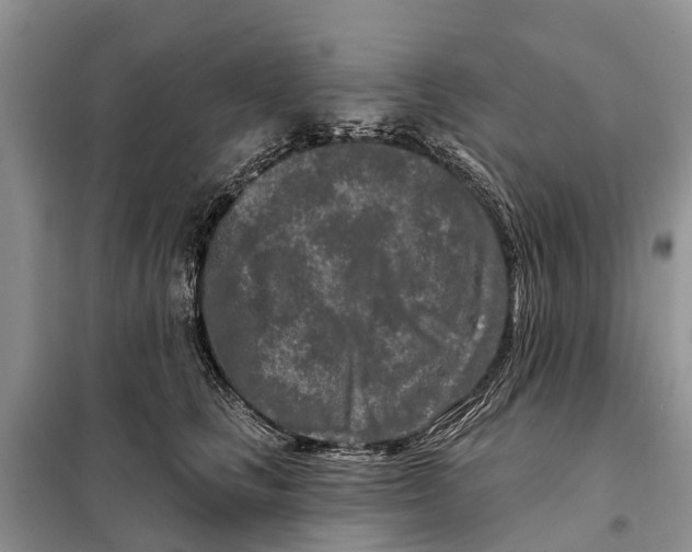 X0000097890661200804111019