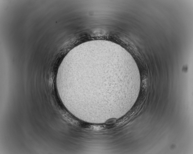 X0000097890662200804111019