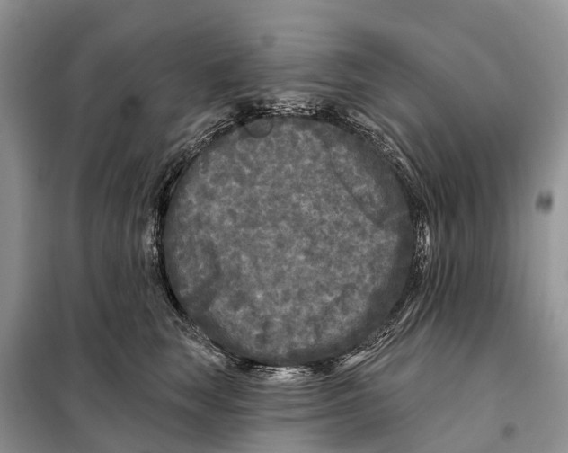 X0000097890663200804111019