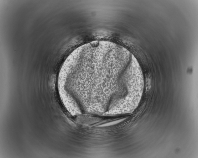 X0000097890664200804111019