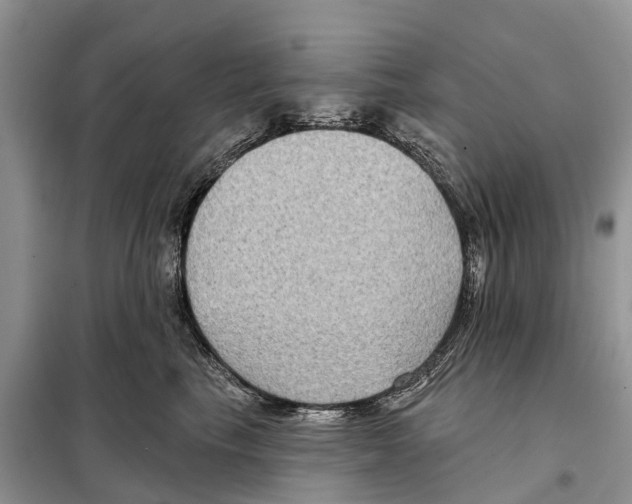 X0000097890665200804111019