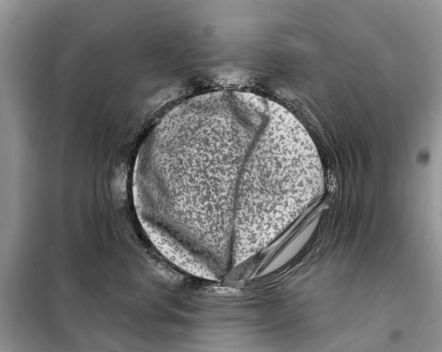 X0000097890668200804111020