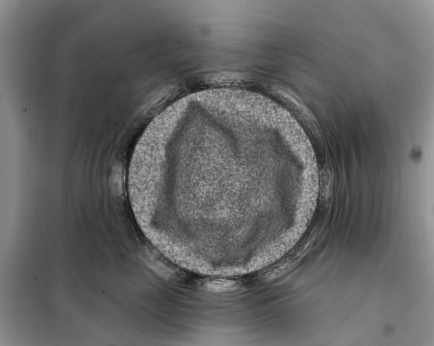 X0000097890669200804111020