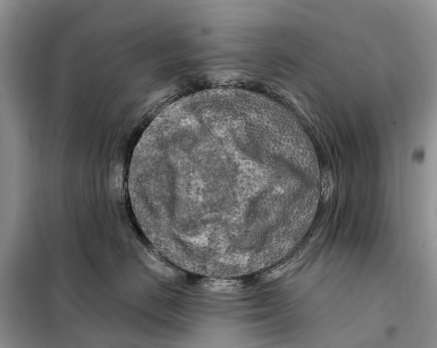 X0000097890670200804111020