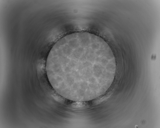 X0000097890672200804111020