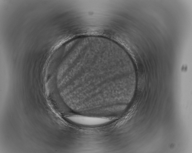 X0000097890673200804111019