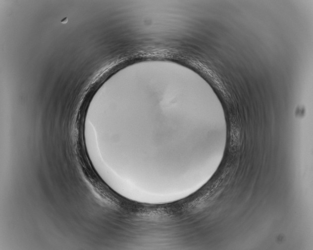 X0000097890674200804111019