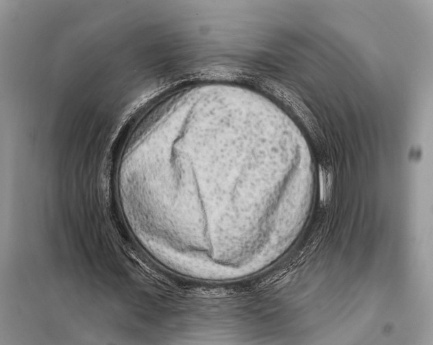 X0000097890675200804111019