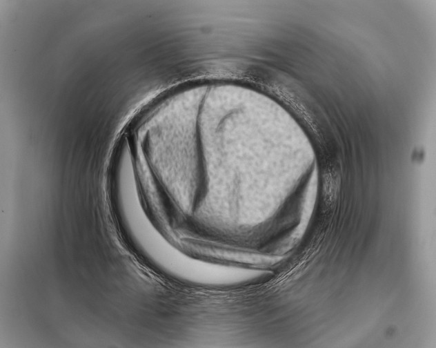 X0000097890676200804111019