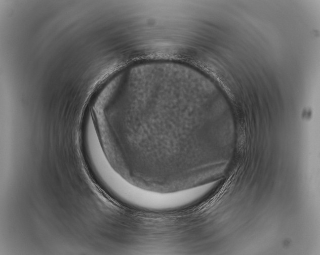 X0000097890677200804111019