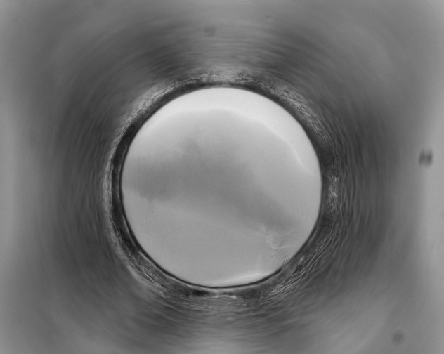 X0000097890678200804111019