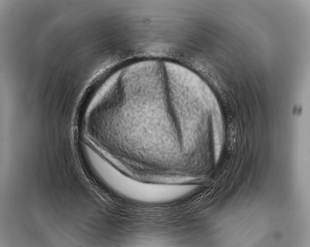 X0000097890680200804111019