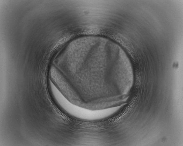 X0000097890681200804111019