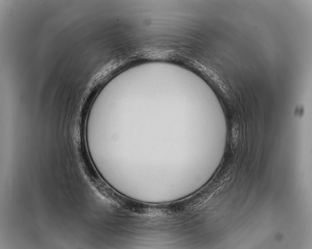 X0000097890682200804111019