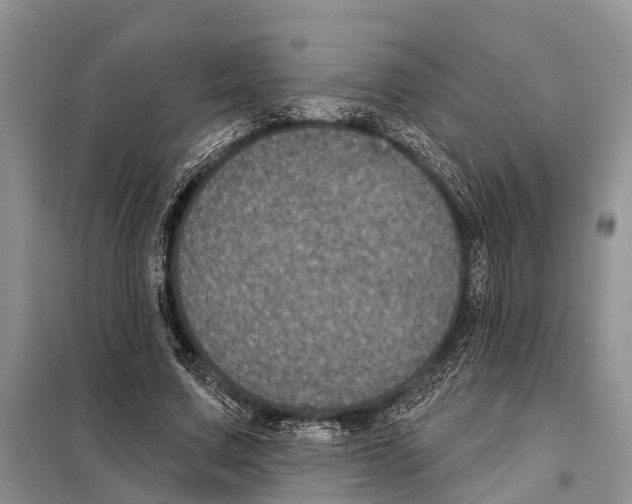 X0000097890683200804111019