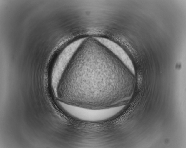 X0000097890684200804111019