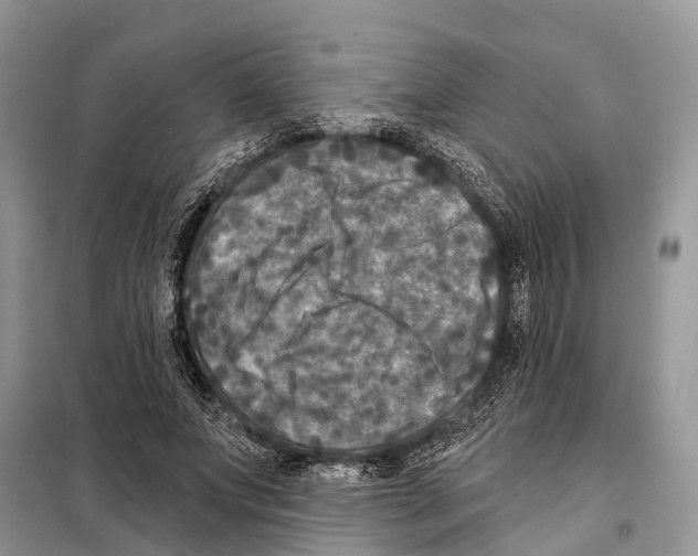 X0000097890687200804111019