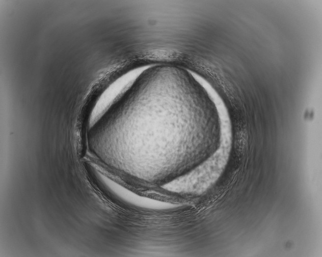 X0000097890688200804111019