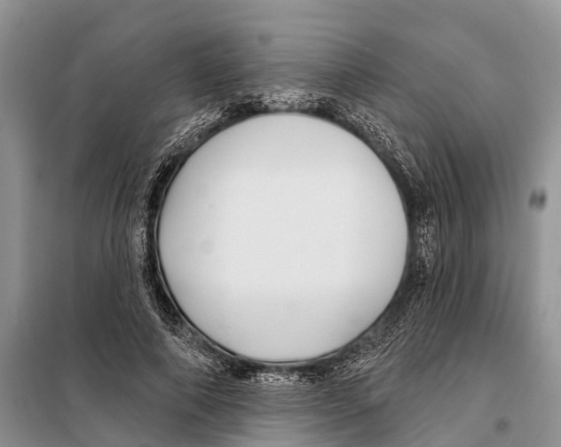 X0000097890690200804111019