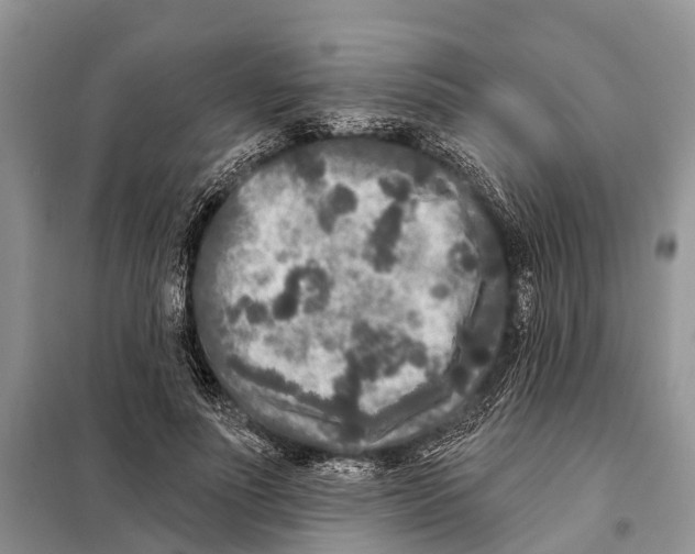 X0000097890691200804111019