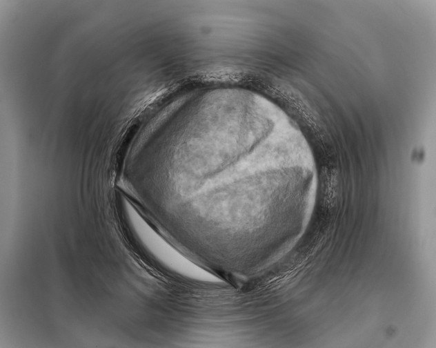 X0000097890692200804111019