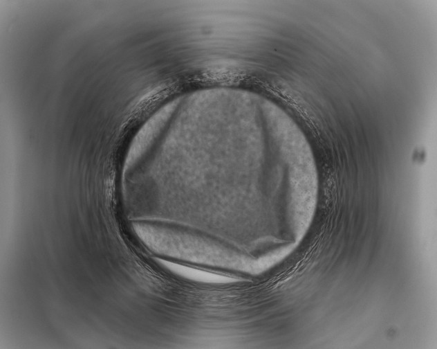 X0000097890693200804111019