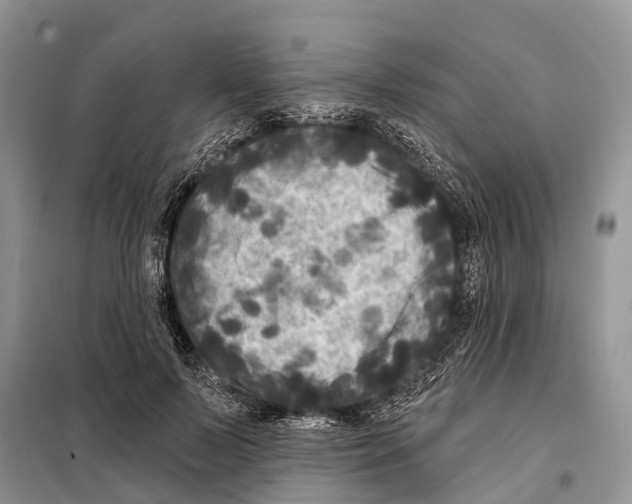 X0000097890695200804111019