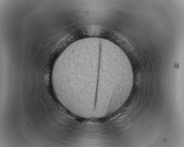 X0000097890697200804111019