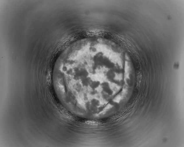 X0000097890699200804111019