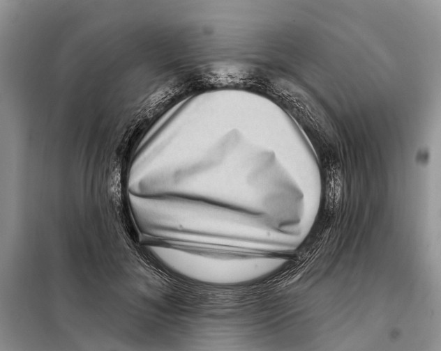 X0000097890700200804111019