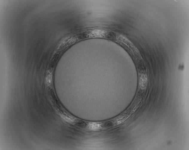 X0000097890701200804111019