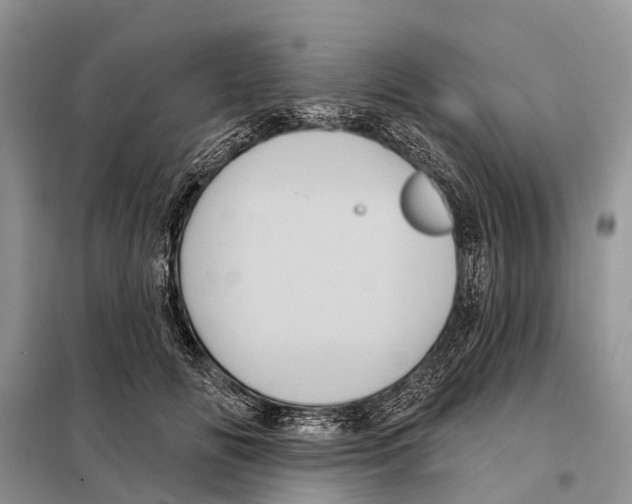 X0000097890702200804111019