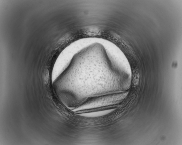 X0000097890704200804111018