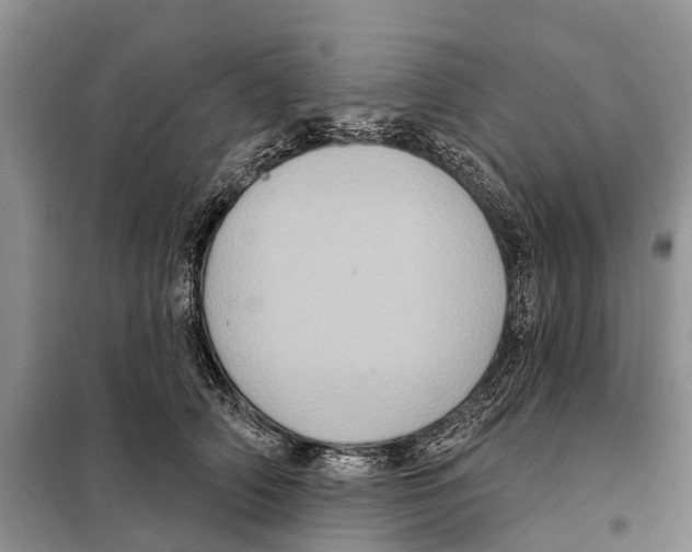 X0000097890706200804111018