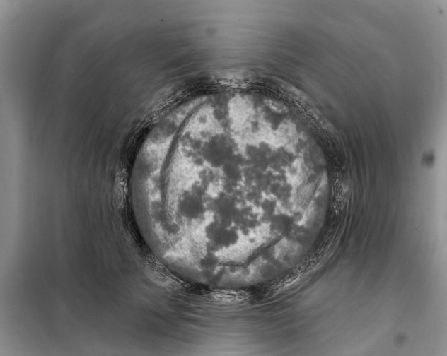 X0000097890707200804111018