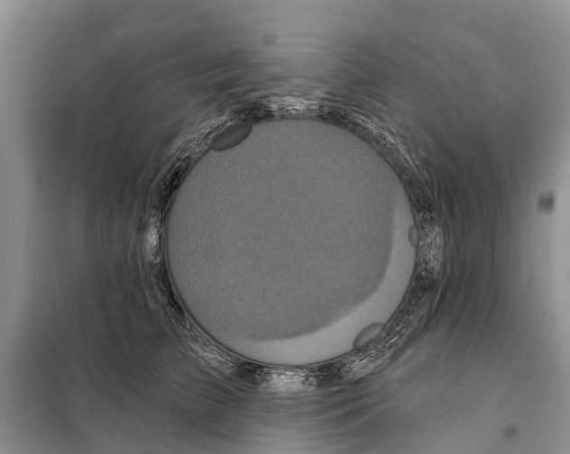 X0000097890709200804111018