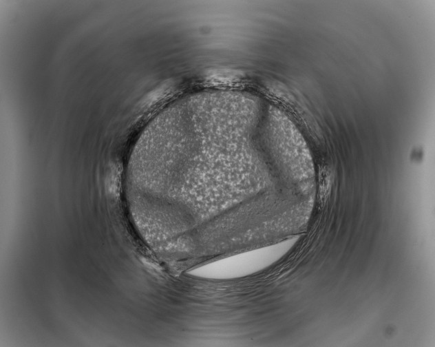 X0000097890712200804111018