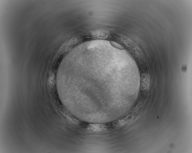 X0000097890713200804111018