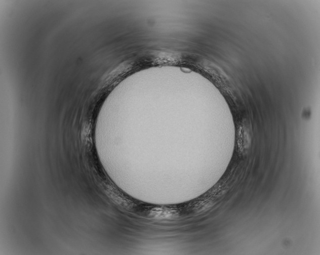 X0000097890714200804111018