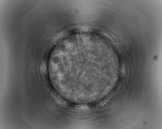 X0000097890715200804111018