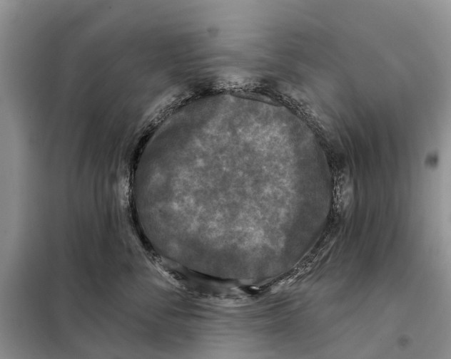 X0000097890716200804111018