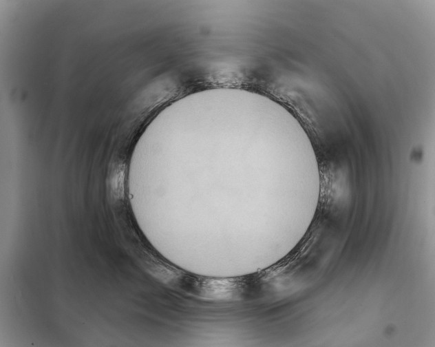 X0000097890717200804111018